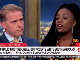 CNN PANEL