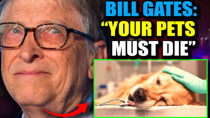 Something is deeply wrong with our pets. Cancer is skyrocketing. Autoimmune diseases are everywhere. And more cats and dogs are dying suddenly—in ways no vet can explain.