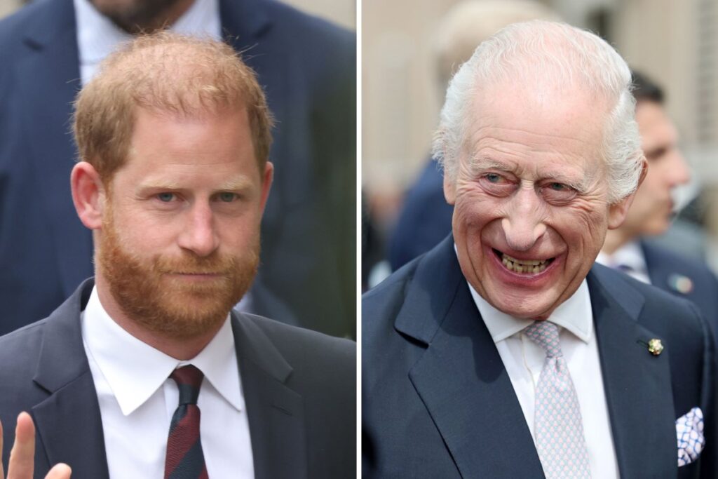 PRINCE HARRY AND KING CHARLES