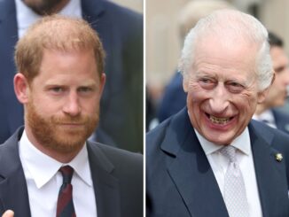 PRINCE HARRY AND KING CHARLES