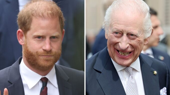 PRINCE HARRY AND KING CHARLES