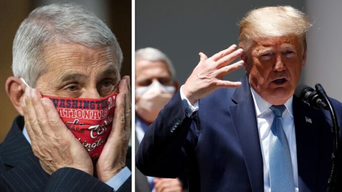 trump-fauci