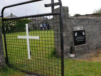 unwed mothers home Ireland