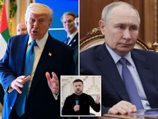 Trump Putin Zelesnky