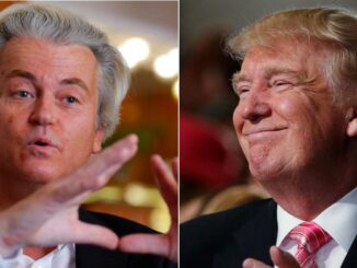 wilders trump