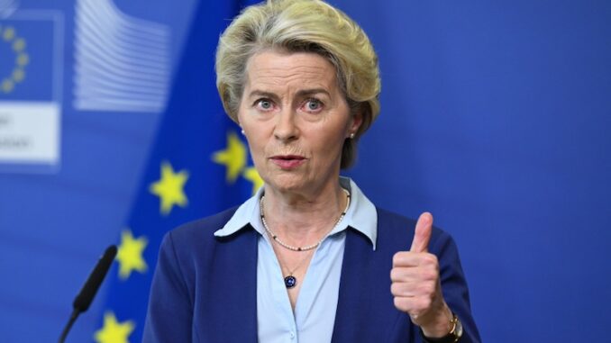 EU rolls out disinformation law to censor Americans who share non-mainstream views online. EU rolls out disinformation law to censor Americans who share non-mainstream views online.