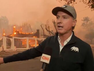 California gov Newsom