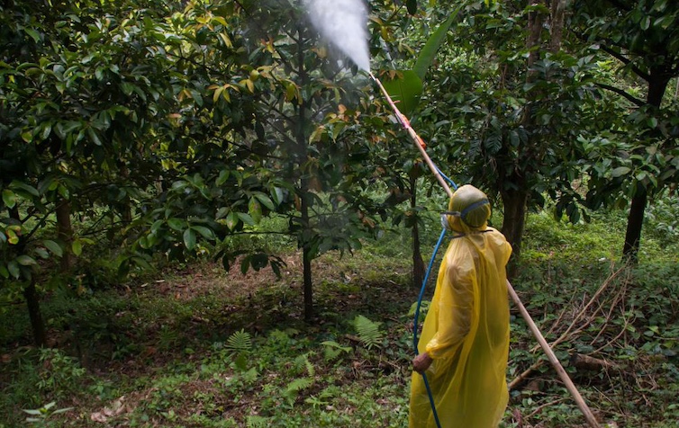 Bill Gates Given Green Light to Secretly Spray RNA on Food Products in America
