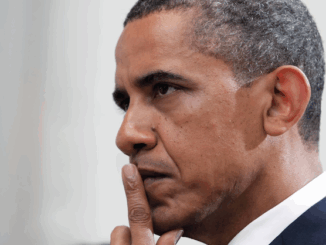 Obama says fact checkers should be allowed to arrest U.S. citizens who spread 'misinformation' online.