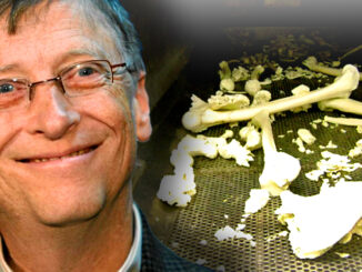 While we were locked down, masked up, and distracted by fear, the elite were already moving to the next phase of their masterplan. Take Bill Gates—who quietly became the largest private owner of farmland in America. Millions of acres. And now? He’s using it against us.