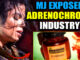 They called him the King of Pop. But Michael Jackson was more than a music royalty — he was a threat. A threat to the industry that built him. A threat to the elites who thought they owned him. And when he broke free from their grip, they didn’t just smear his name, they ended his life.