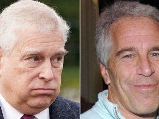 PRINCE ANDREW EPSTEIN