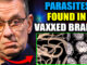 A world-renowned microbiologist has just dropped a chilling bombshell: the neurological damage caused by the COVID mRNA shots is far worse than previously known, and billions of vaccinated brains have lost intelligence and willpower.
