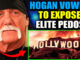 Hulk Hogan wasn’t just a wrestling icon. He was part of a covert mission, shoulder to shoulder with Mel Gibson, digging into Hollywood’s darkest secret: the trafficking, the exploitation, the ritual abuse hiding in plain sight.