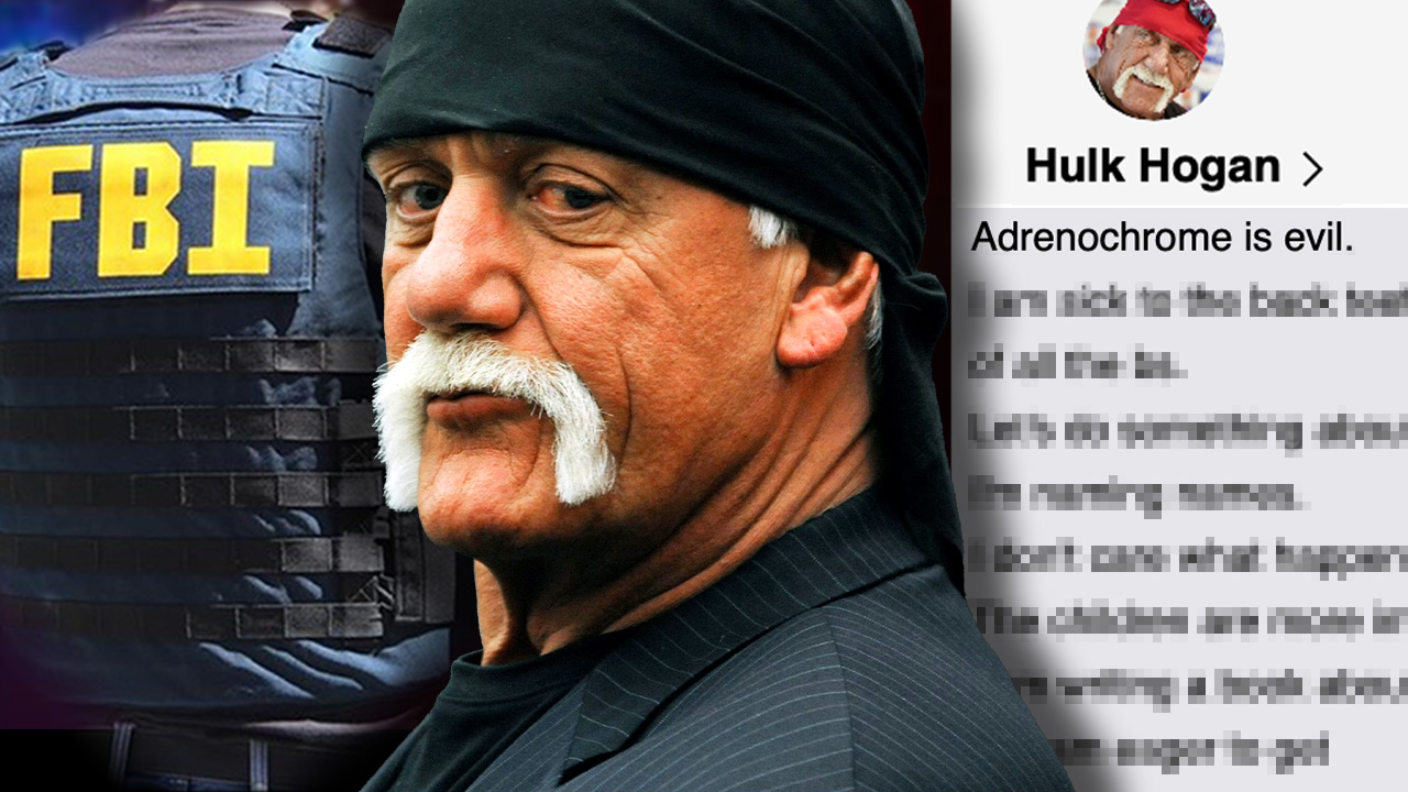 Hulk Hogan Was About To Expose Hollywood Adrenochrome Industry Before He Died 