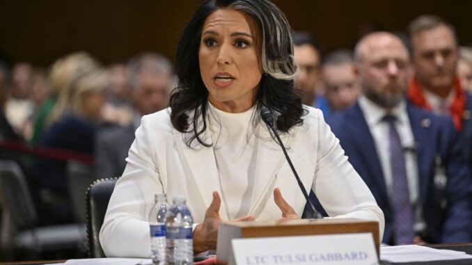 Tulsi Gabbard