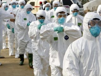 Scientists who engineered 100% lethal bird flu virus say it is not spreading among humans.