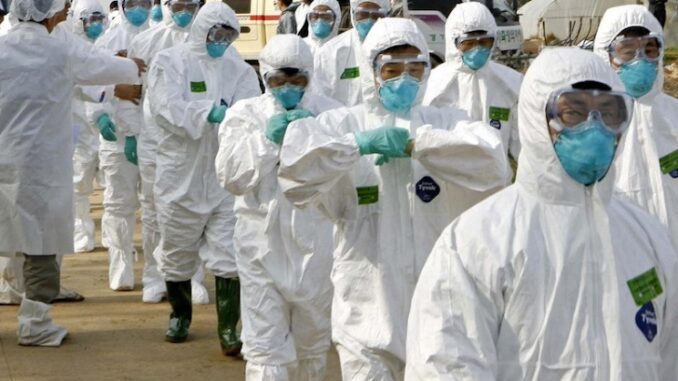 Scientists who engineered 100% lethal bird flu virus say it is not spreading among humans.
