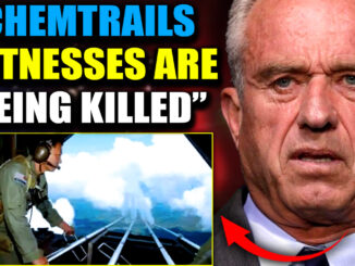 The children of chemtrails whistleblowers are now in the crosshairs — stalked, threatened… and in at least one case, found dead in their own bed.