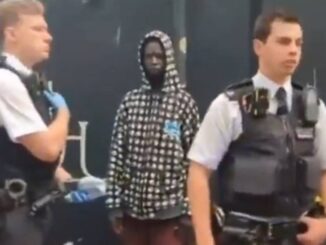 Woman arrested for reporting to police that an illegal migrant had broken into her home.