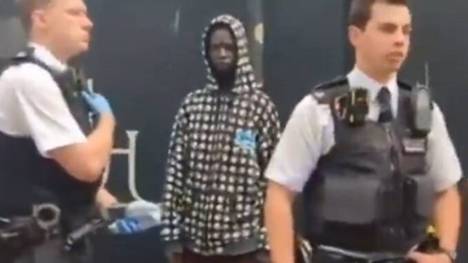 Woman arrested for reporting to police that an illegal migrant had broken into her home.