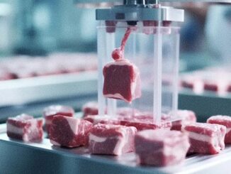 Fake meat companies face bankruptcy as study confirms animal protein reduces cancer risk.