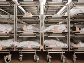 Japan warns that millions of vaxxed are going to die.