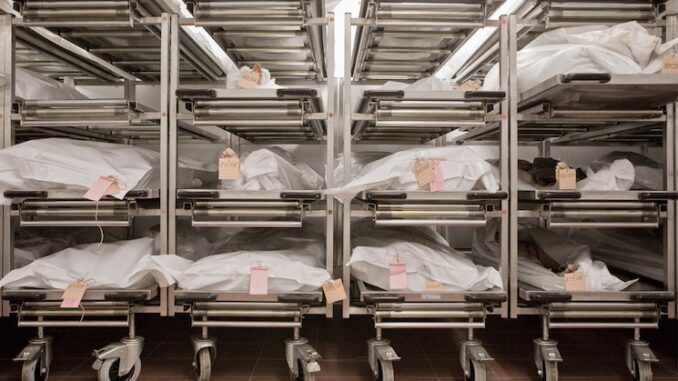 Japan warns that millions of vaxxed are going to die.