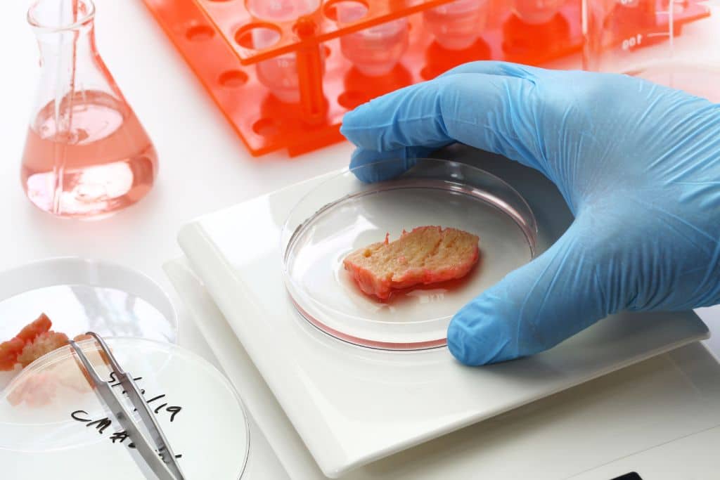 US Restaurants Now Serving Bezos-Backed Lab Grown Salmon
