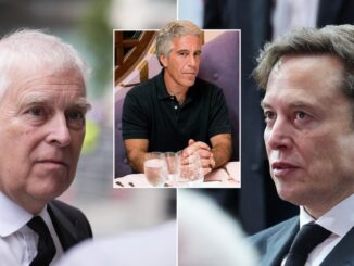 andrew epstein and musk