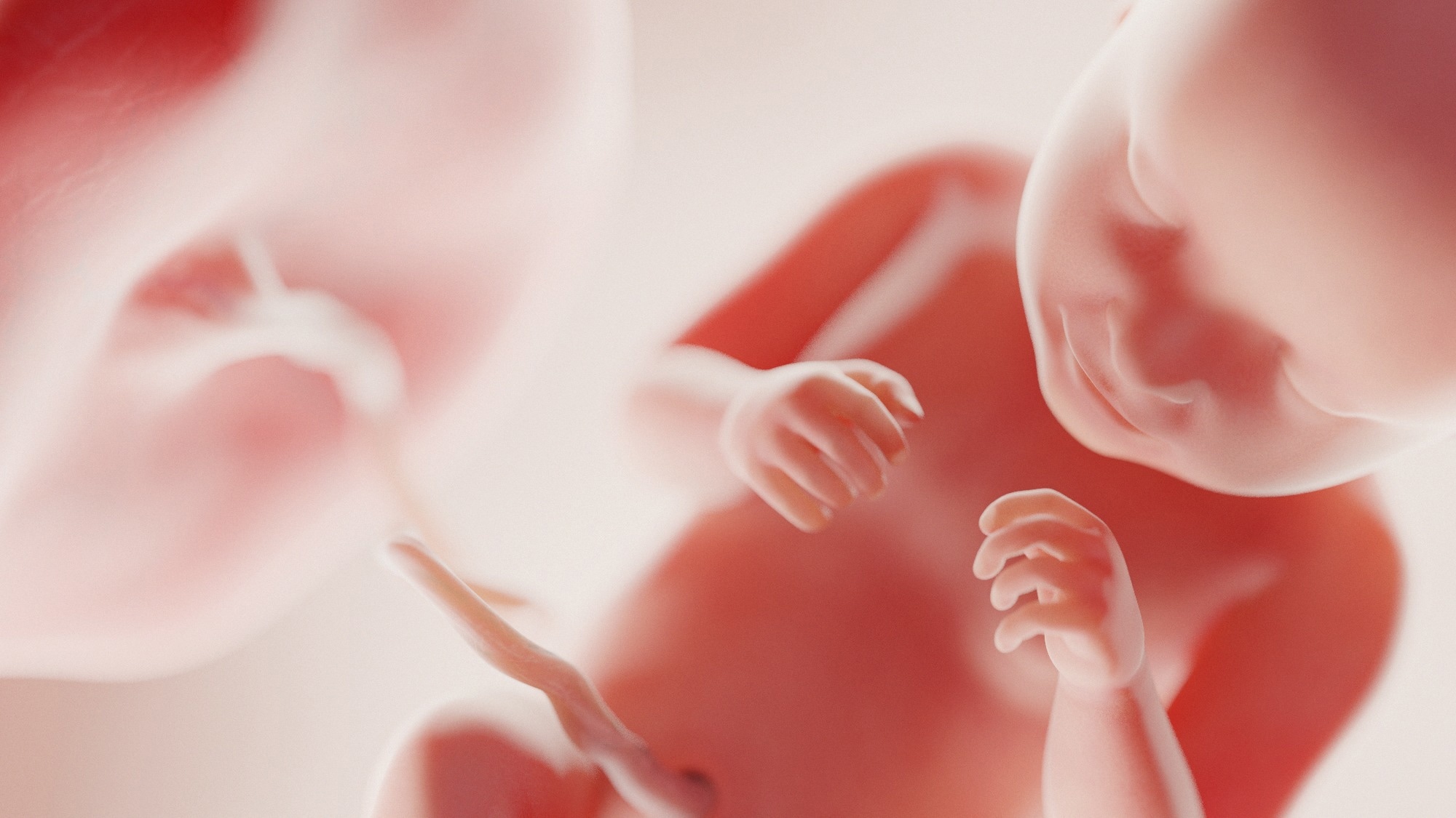 Pfizer Knew: mRNA Nanoparticles Attack Baby Boys’ Testes, Damaging Masculinity and Fertility for Generations