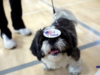 Cali liberal arrested for registering dog to vote in elections.