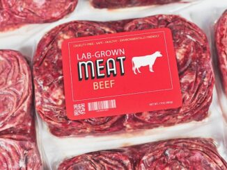 Texas bans bill gates' fake lab grown meat.