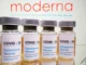 Moderna mrna vaccines