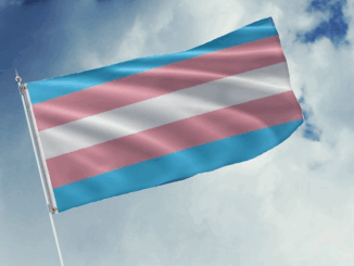 Christian arrested in Spain for calling Miss Trans 2025 'sir'