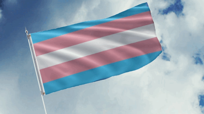 Christian arrested in Spain for calling Miss Trans 2025 'sir'