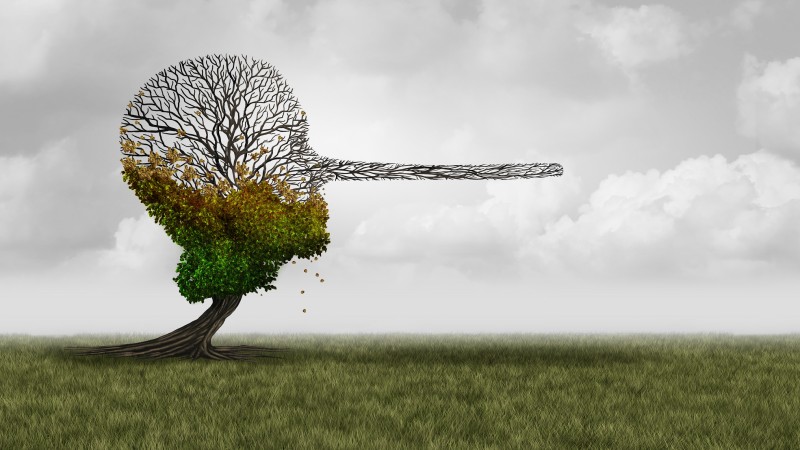 carbon tax green scam