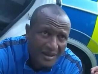 migrant sex offender