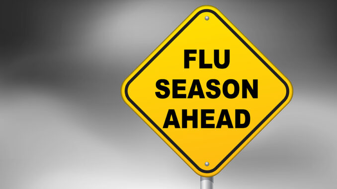 Flu season