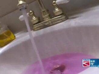 NJ officials claims pink slime in tape water is safe to drink.