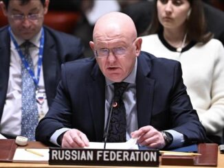 Russia's UN envoy