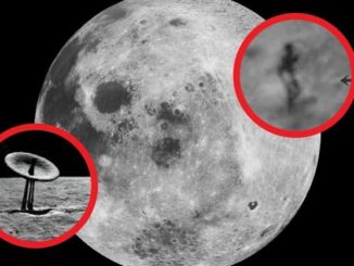 CIA files reveal that aliens are living on the dark side of the moon.