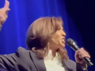Drunk Kamala Harris blasts Trump admin.