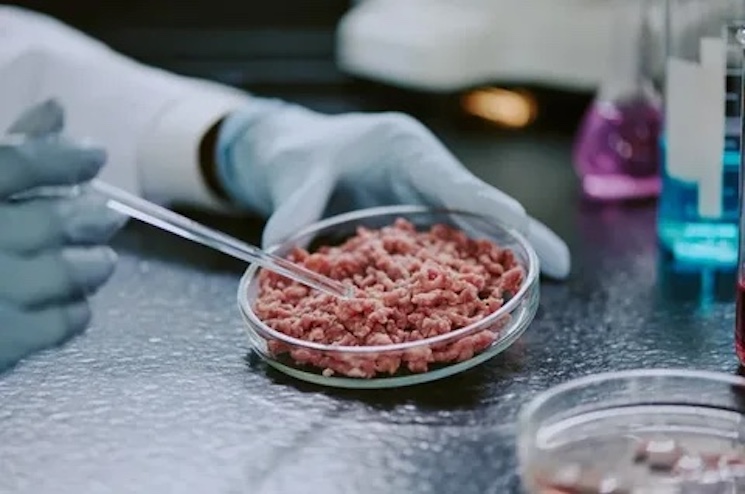 Bill Gates lab grown meat linked to suicide.