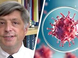 NIAID Director creates new bird flu vaccine for deadly bird flu strain he has created.