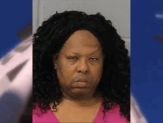 trans school bus driver