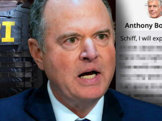 They burned the servers. They staged the crash and executed Anne Heche on live TV. They swore her child-trafficking documentary—Children of the Machine—would die with her. It didn't.