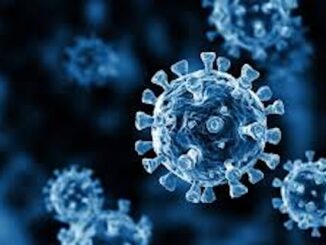 Study finds COVID-19 spike protein was really harmless HERV-K virus.