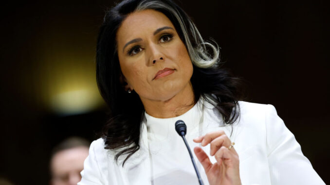 Tulsi Gabbard
