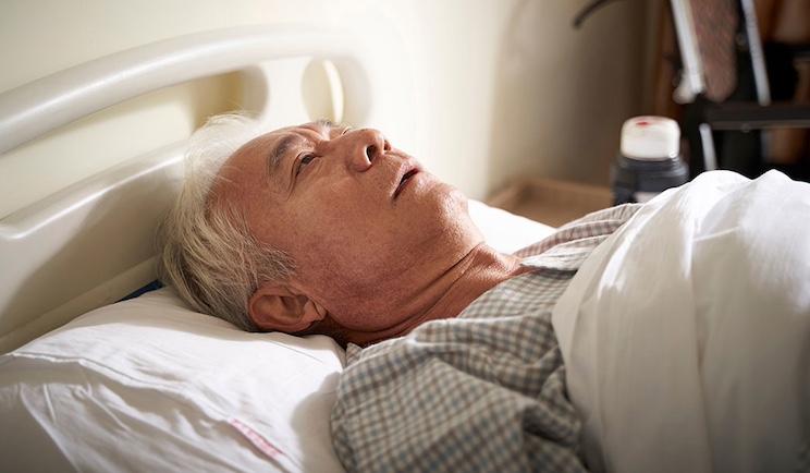 Canada to begin euthanizing veterans.